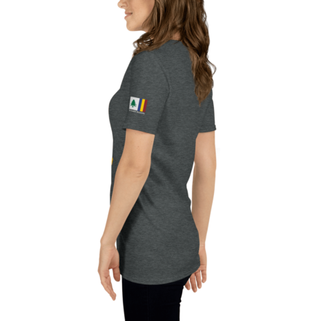unisex-basic-softstyle-t-shirt-dark-heather-left-61ce1332dc6c0.png