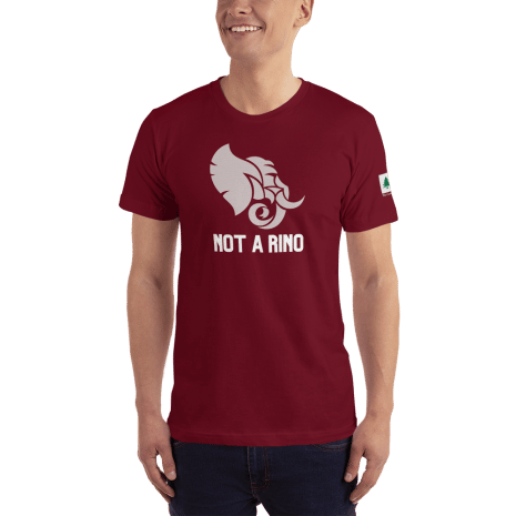 unisex-jersey-t-shirt-cranberry-front-61ca89a01bee9.png