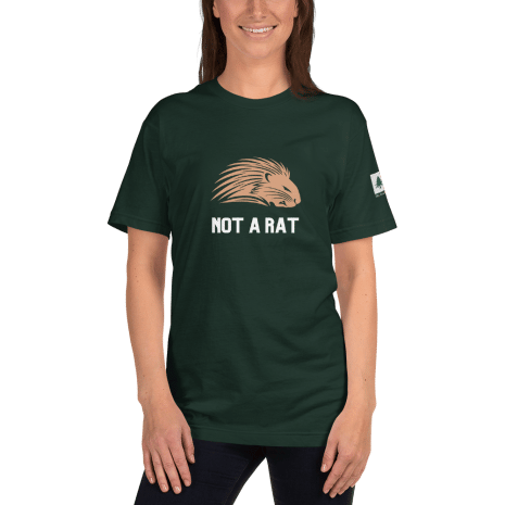 unisex-jersey-t-shirt-forest-front-61ca88a2850e4.png