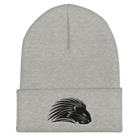 cuffed-beanie-heather-grey-front-61d0ced79011d.png