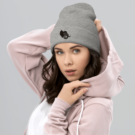cuffed-beanie-heather-grey-front-61d0d64107984.png