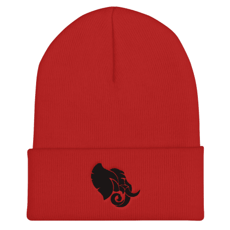 cuffed-beanie-red-front-61d0d6410756e.png