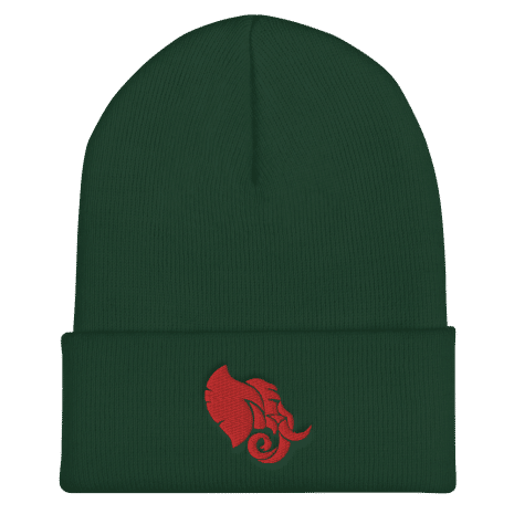 cuffed-beanie-spruce-front-61d0d43f55dd1.png
