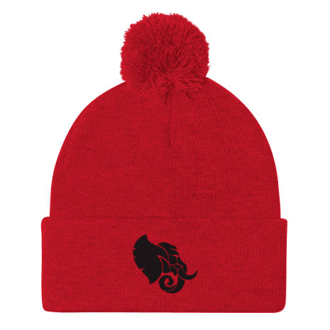 pom-pom-knit-cap-red-front-61d0d3f87b922.png