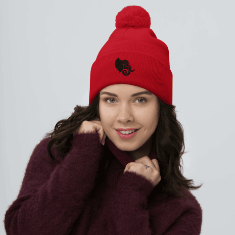 pom-pom-knit-cap-red-front-61d0d3f87bb0b.png