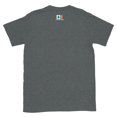 unisex-basic-softstyle-t-shirt-dark-heather-back-61edad441e292