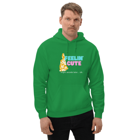 unisex-heavy-blend-hoodie-irish-green-front-61ef3830ef1f2.png
