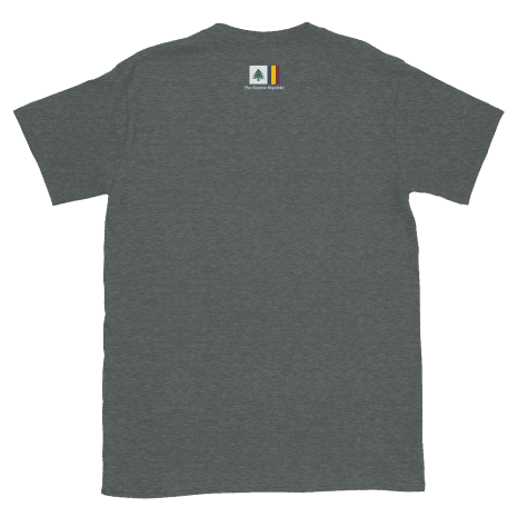 unisex-basic-softstyle-t-shirt-dark-heather-back-620d8d29ae27a.png