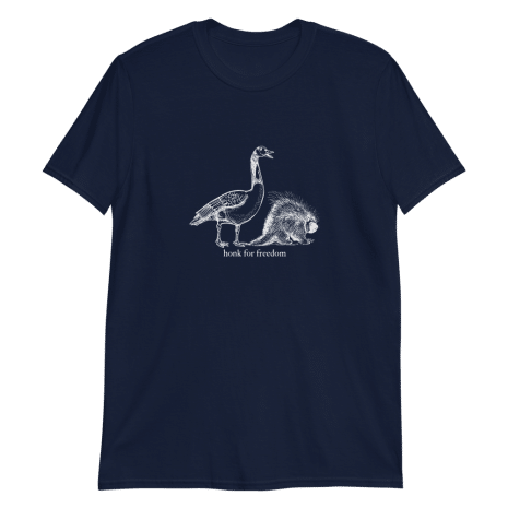 unisex-basic-softstyle-t-shirt-navy-front-62051cd7ce149.png