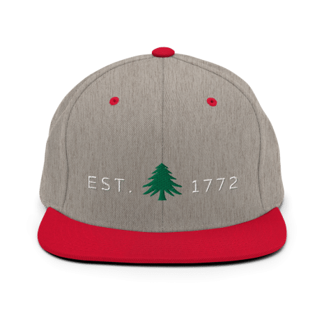 classic-snapback-heather-grey-red-front-627d0740b8d82.png