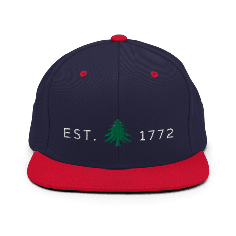 classic-snapback-navy-red-front-627d0740b7c0d.png