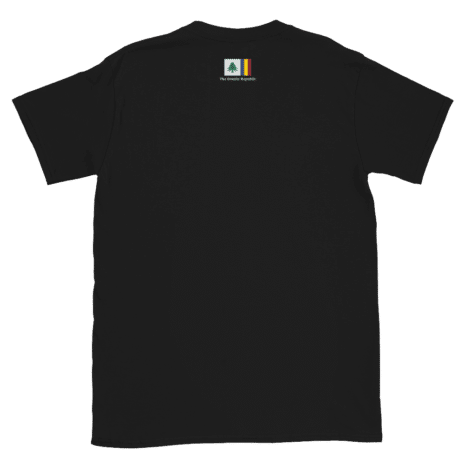 unisex-basic-softstyle-t-shirt-black-back-62bd8acb4d04a.png
