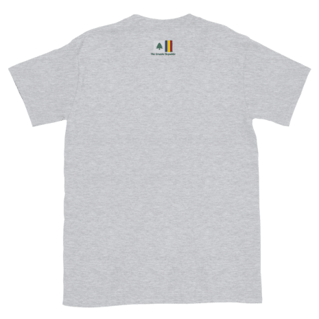 unisex-basic-softstyle-t-shirt-sport-grey-back-6362be3f2a202.png