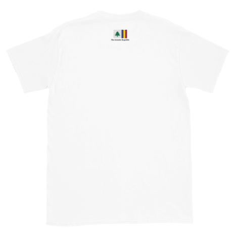 unisex-basic-softstyle-t-shirt-white-back-6362be3f2affa.png