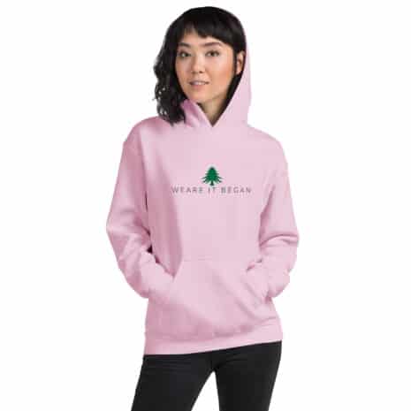 unisex-heavy-blend-hoodie-light-pink-front-636853e67746a.jpg