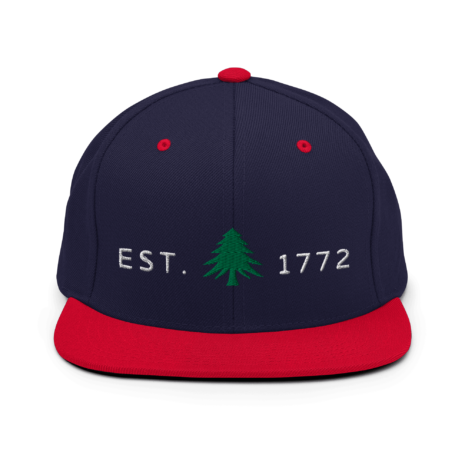 classic-snapback-navy-red-front-63cd8b07ae46b