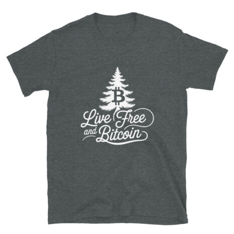 unisex-basic-softstyle-t-shirt-dark-heather-front-681a65f88f9a6.jpg